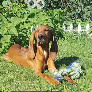 Meet your Posher, Eric